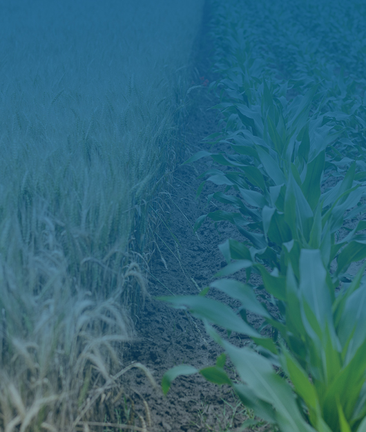 2025 國產(chǎn)肥料養(yǎng)分檢測儀市場競爭力排名出爐 五大品牌重塑行業(yè)格局